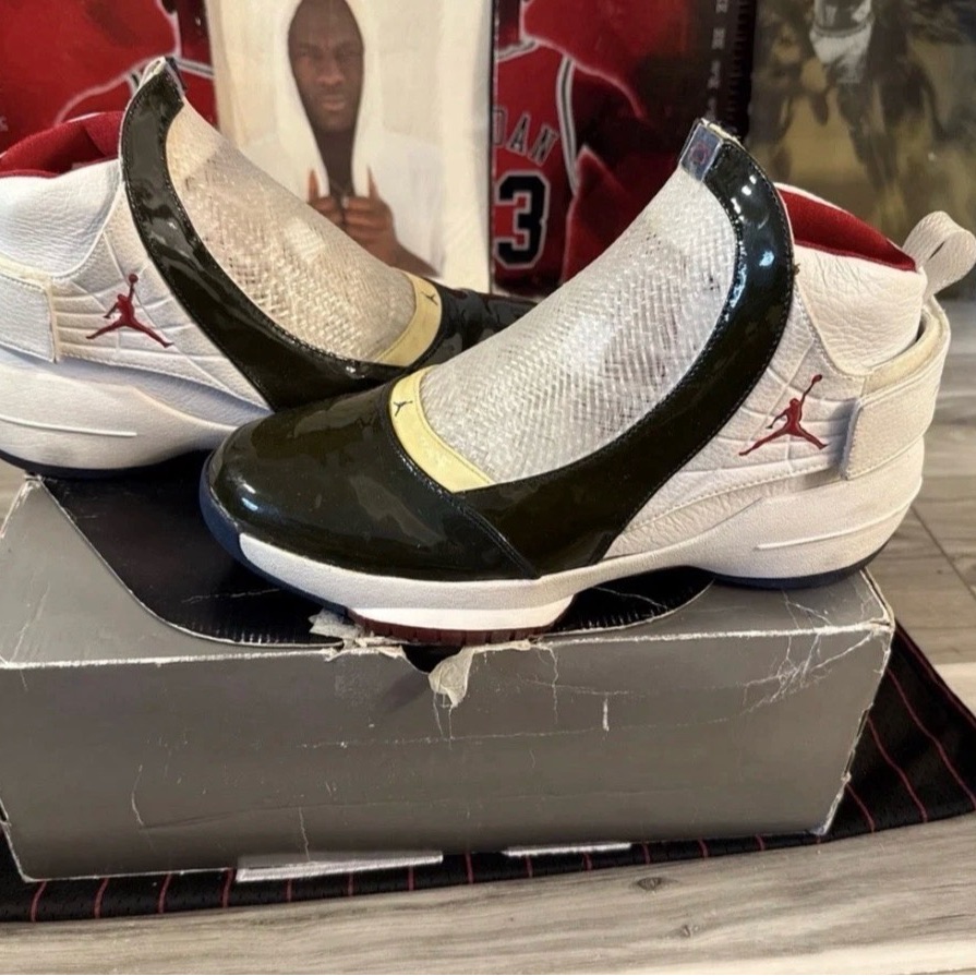 Air Jordan 19 Og East Coast Size 11